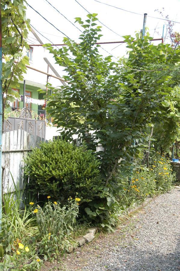 Guest House Barbi Batumi Exteriér fotografie